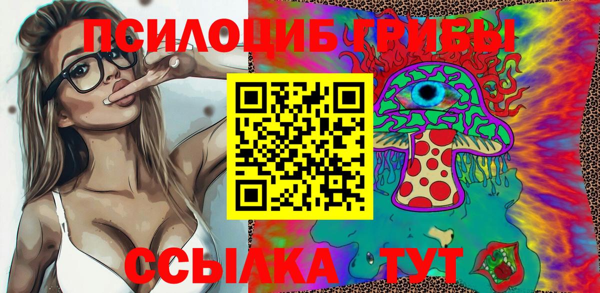 Псилоцибиновые грибы прущие грибы Ачхой-Мартан